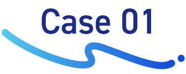 Case 01