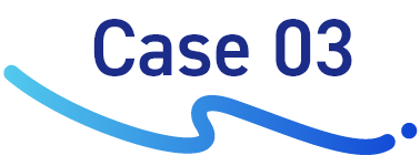 Case 03