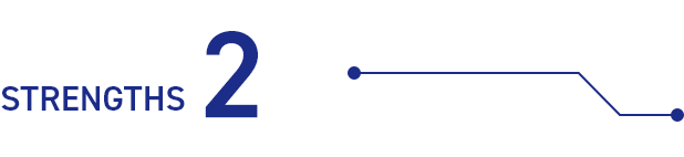 STRENGTHS2
