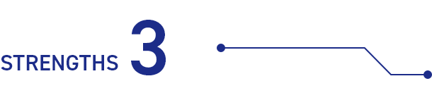 STRENGTHS3